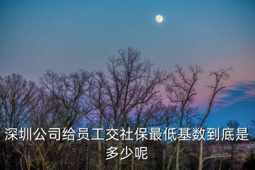 深圳公司給員工交社保最低基數(shù)到底是多少呢