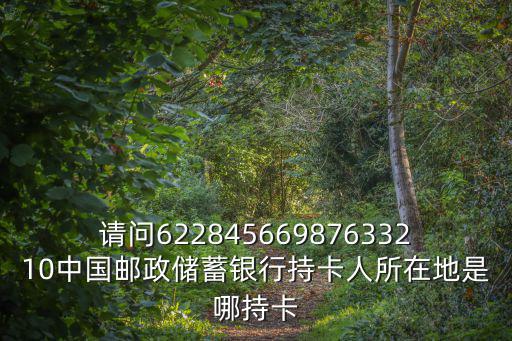 請(qǐng)問62284566987633210中國郵政儲(chǔ)蓄銀行持卡人所在地是哪持卡