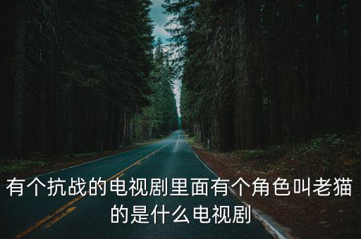 有個抗戰的電視劇里面有個角色叫老貓的是什么電視劇