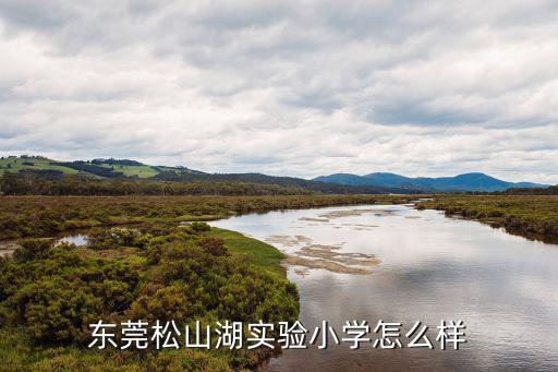 東莞松山湖實驗小學怎么樣