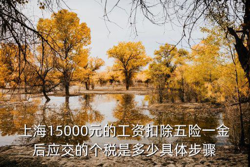 上海個人所得稅計算器，2011年上海外籍人員扣繳個人所得稅計算器