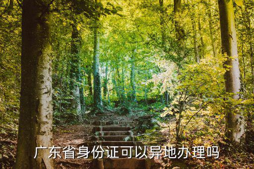 廣東省身份證可以異地辦理嗎
