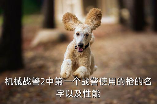 機(jī)械戰(zhàn)警2中第一個(gè)戰(zhàn)警使用的槍的名字以及性能