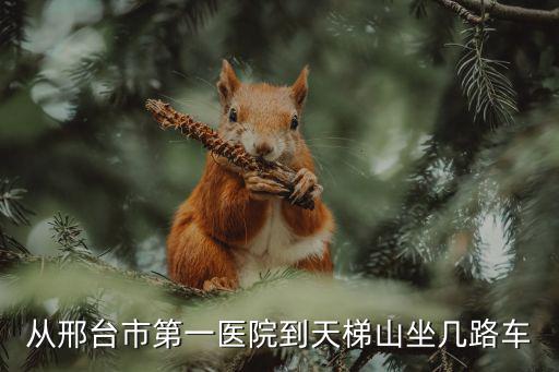 天梯山景區(qū)，天河山云夢山天梯山那里值得一還觀