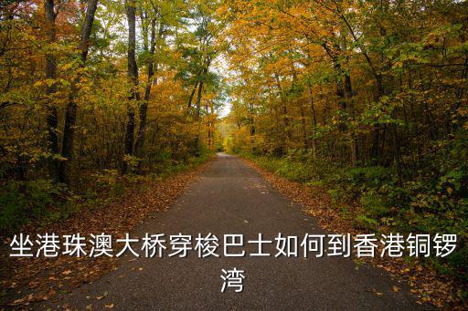 坐港珠澳大橋穿梭巴士如何到香港銅鑼灣