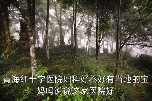 紅十字醫院，紅十字醫院在哪咋去