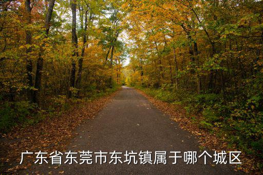 東莞東坑鎮(zhèn)，東坑鎮(zhèn)在東莞的哪個區(qū)