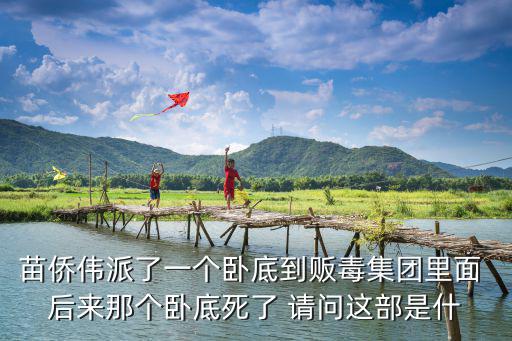 苗僑偉派了一個臥底到販毒集團里面 后來那個臥底死了 請問這部是什