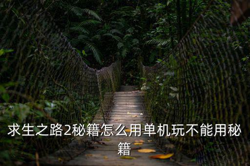 求生之路2秘籍怎么用單機玩不能用秘籍