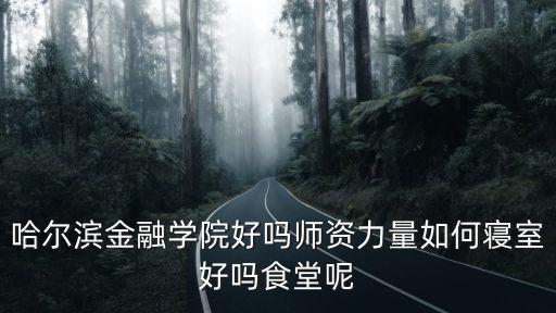 哈爾濱金融學(xué)院好嗎師資力量如何寢室好嗎食堂呢