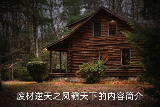 廢材逆天之鳳霸天下的內(nèi)容簡介