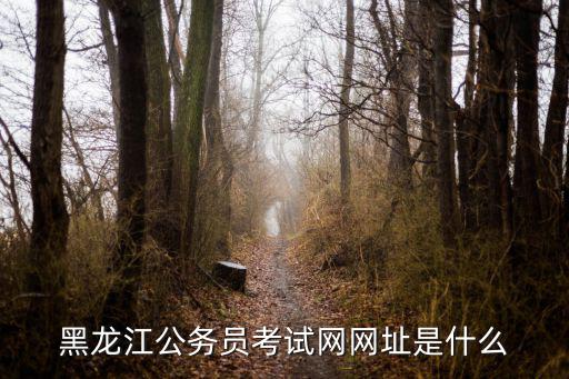 黑龍江考試網，黑龍江公務員考試網網址是什么