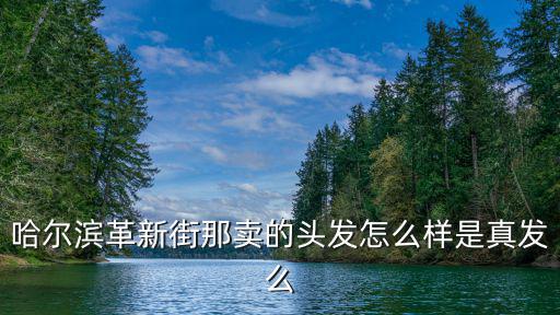 哈爾濱革新街那賣的頭發(fā)怎么樣是真發(fā)么