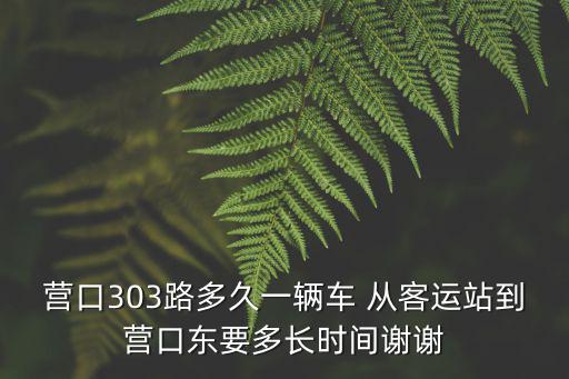 303路，營(yíng)口303路多久一輛車 從客運(yùn)站到營(yíng)口東要多長(zhǎng)時(shí)間謝謝