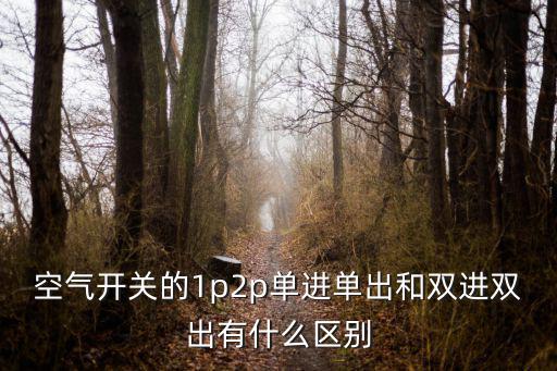 空氣開關(guān)的1p2p單進(jìn)單出和雙進(jìn)雙出有什么區(qū)別