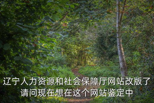 遼寧人力資源和社會保障局官網，遼寧省人力資源與社會保障廳主管醫保地址在哪