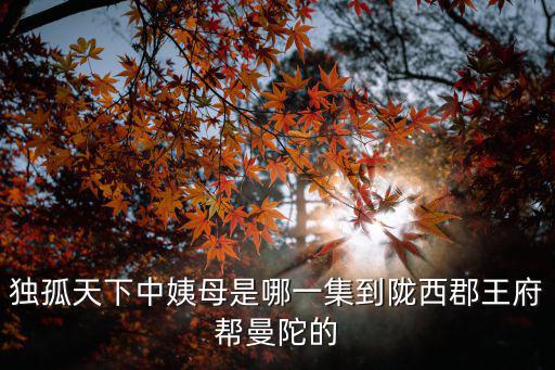 獨孤天下中姨母是哪一集到隴西郡王府幫曼陀的