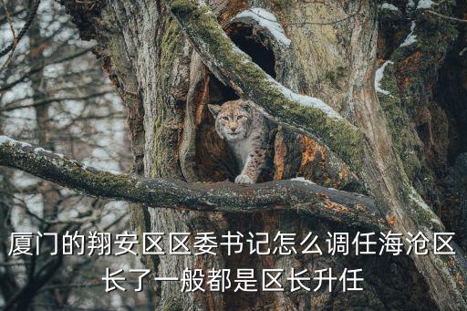 翔安區政府網，翔安在哪里可以辦赴臺證