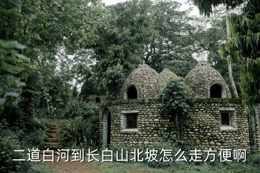 二道白河到長(zhǎng)白山，二道白河有路車到長(zhǎng)白山風(fēng)景區(qū)的嗎