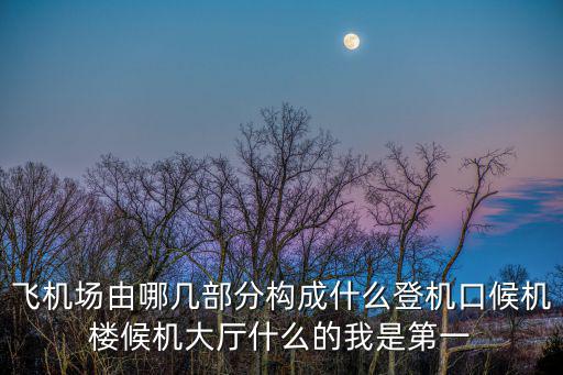 飛機場由哪幾部分構成什么登機口候機樓候機大廳什么的我是第一