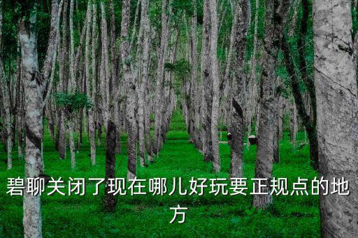 碧聊關閉了現在哪兒好玩要正規點的地方