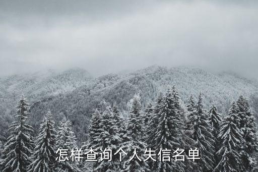 怎樣查詢個人失信名單
