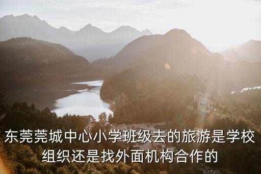 東莞莞城中心小學(xué)班級(jí)去的旅游是學(xué)校組織還是找外面機(jī)構(gòu)合作的