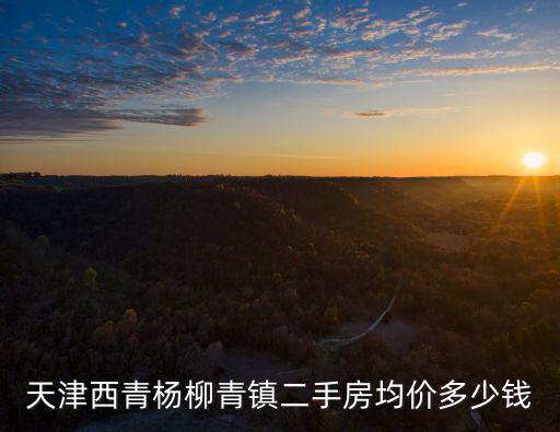 天津西青楊柳青鎮二手房均價多少錢
