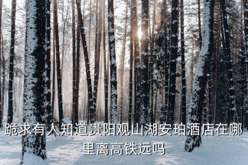 跪求有人知道貴陽觀山湖安珀酒店在哪里離高鐵遠嗎