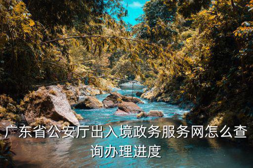 廣東省公安廳出入境政務服務網怎么查詢辦理進度