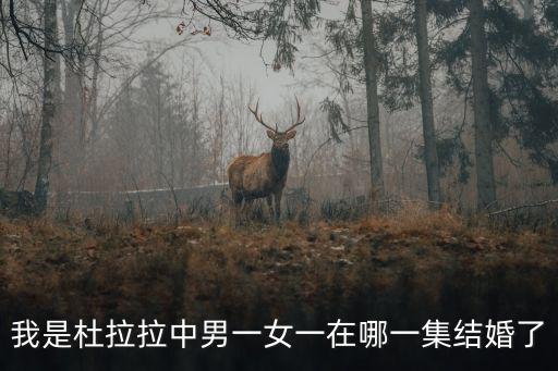 我是杜拉拉中男一女一在哪一集結婚了