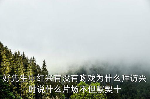 好先生中紅興有沒有吻戲為什么拜訪興時說什么片場不但默契十