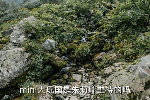 mini大玩國(guó)是朱莉葉主持的嗎