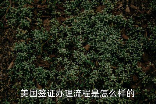 美國(guó)簽證辦理流程是怎么樣的