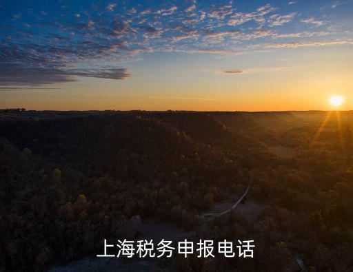 上海稅務申報電話