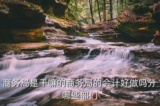 商務局是干嘛的商務局的會計好做嗎分哪些部門