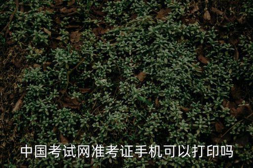 中國考試教育網官網，中國考試網準考證手機可以打印嗎