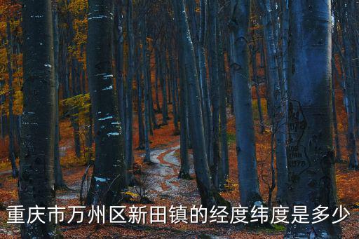 重慶市萬州區新田鎮的經度緯度是多少