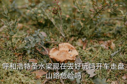 呼和浩特圣水梁現在去好玩嗎開車走盤山路危險嗎