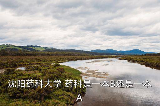 沈陽藥科大學是幾本，沈陽藥科大學是一本還是二本