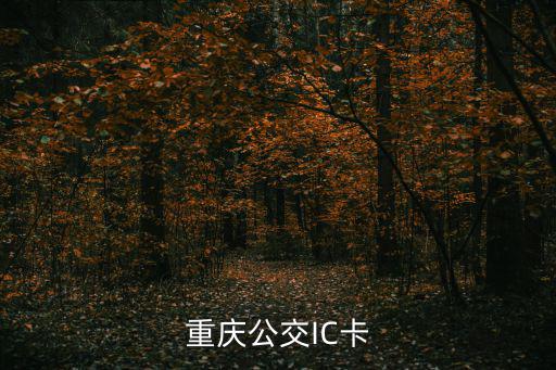 重慶公交卡，重慶公交IC卡