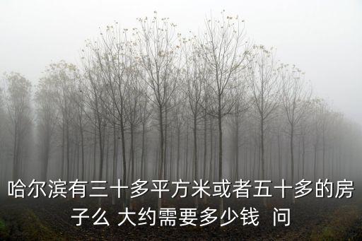 哈爾濱房子，哈爾濱那里的新樓盤不錯 介紹一個