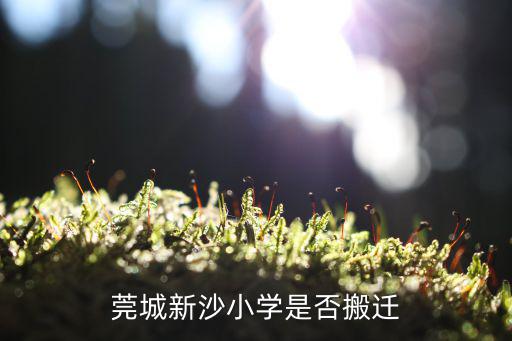 莞城新沙小學(xué)是否搬遷
