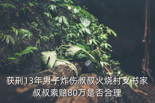 獲刑13年男子炸傷叔叔火燒村支書家叔叔索賠80萬是否合理