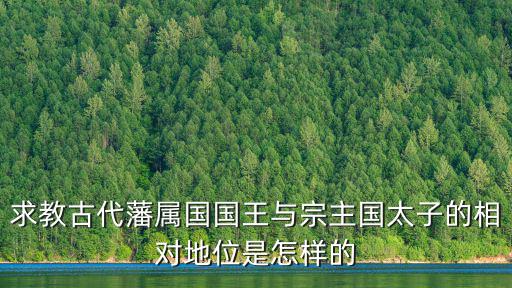 求教古代藩屬國國王與宗主國太子的相對地位是怎樣的