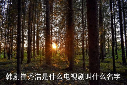 韓劇崔秀浩是什么電視劇叫什么名字