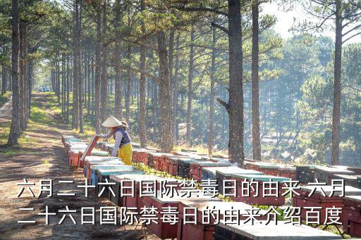 六月二十六日國(guó)際禁毒日的由來(lái) 六月二十六日國(guó)際禁毒日的由來(lái)介紹百度