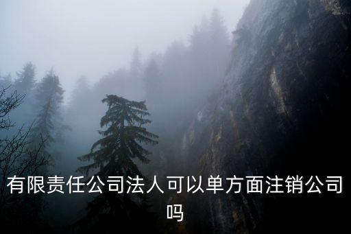 有限責任公司法人可以單方面注銷公司嗎