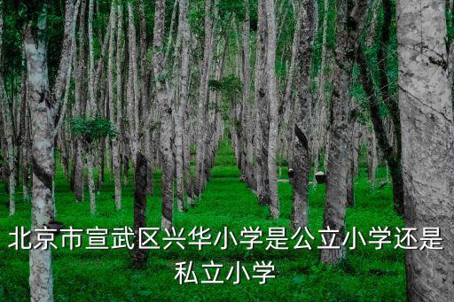 興華小學，北京市宣武區(qū)興華小學是公立小學還是私立小學
