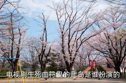生死血符劇情介紹，電視劇生死血符里的武島是誰扮演的